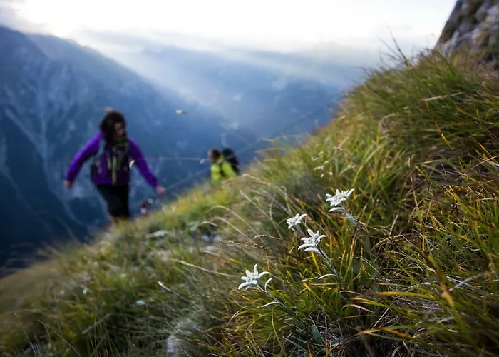 公寓 Moriggl 瑙德斯